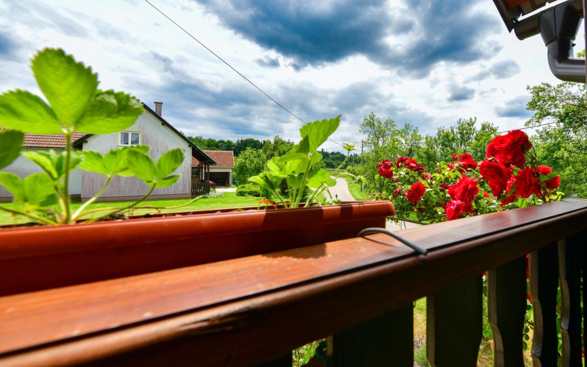 Apartment Ivano *