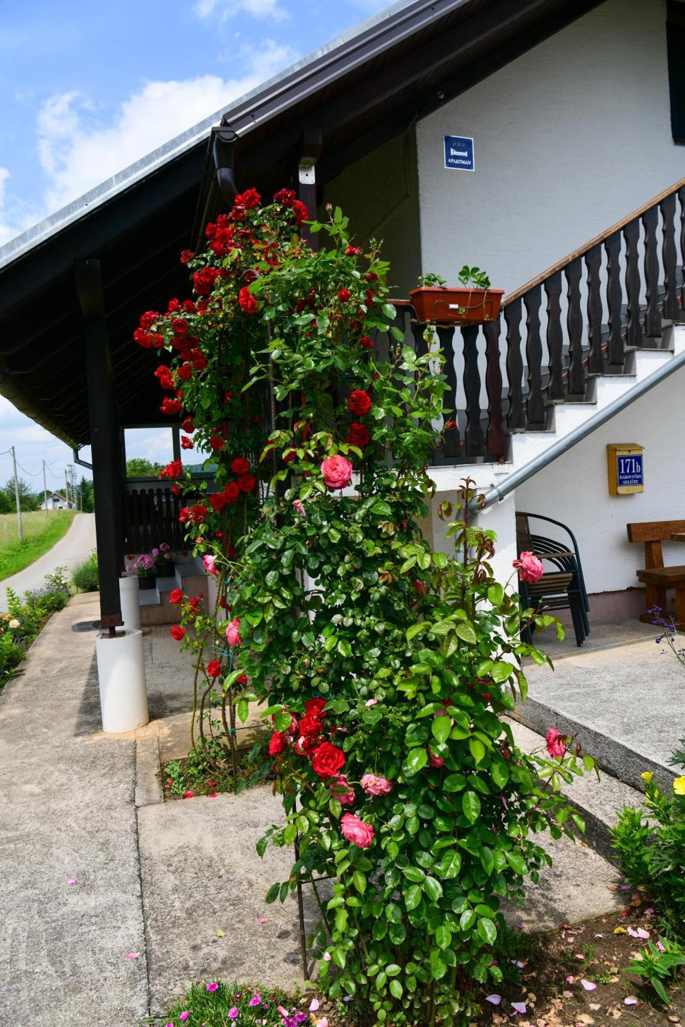 Apartment Ivano